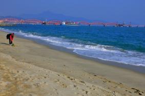 2019中秋深圳玫瑰海岸猜灯谜活动详情