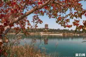 2019郑州中秋有什么活动（景区活动+展览+音乐会）