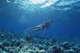 菲律宾海妖潜水住宿环境+潜水课程