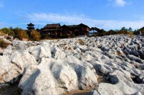 兴文石海在哪里 兴文石海好玩吗 如何到达