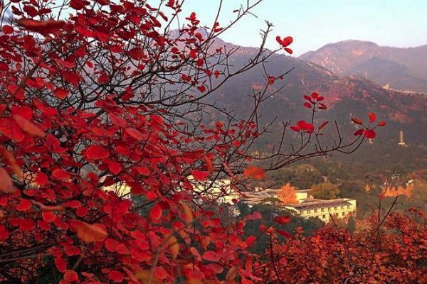 2019北京坡峰岭红叶节一般几号到几号+票价+交通