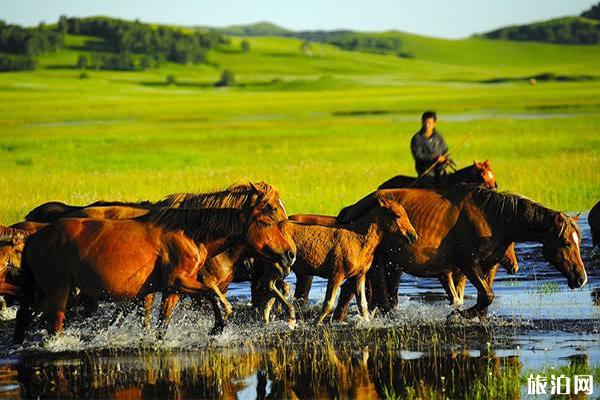 内蒙古最佳旅游时间推荐 内蒙古旅游出行方式