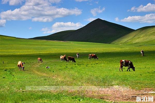 内蒙古最佳旅游时间推荐 内蒙古旅游出行