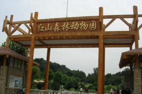 2019南京红山森林动物园免费日+游园券领取攻略