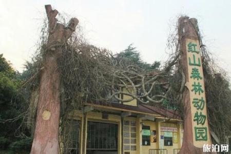南京红山森林动物园 南京红山森林动物园攻略 南京红山森林动物园怎么走