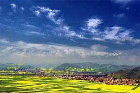 门源青石嘴镇看油菜花海怎么样 自驾游交通路线