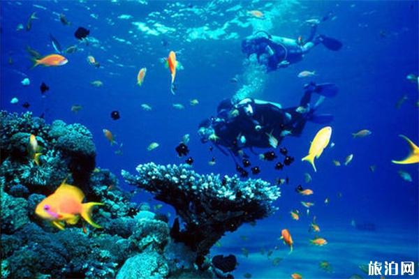 巴厘岛蓝梦岛潜水价格 蓝梦岛跟图兰本哪一个潜点好