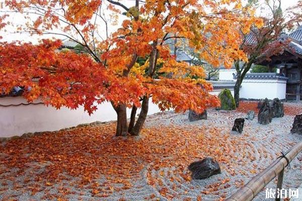 九州紅葉什么時間2019+觀賞地點推薦