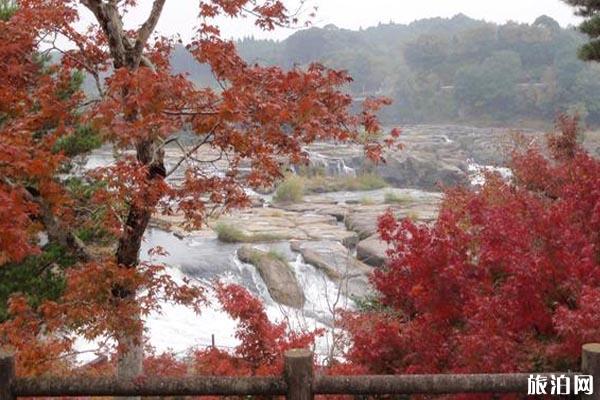 九州紅葉什么時間2019+觀賞地點推薦