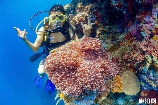 印尼潜水最佳时间介绍