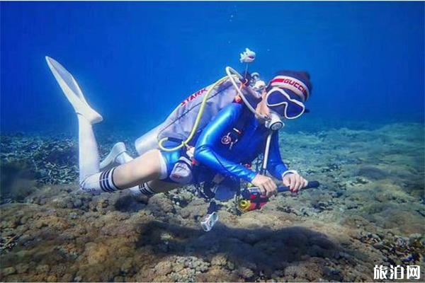 潜水湿衣要买大一号吗 自由潜湿衣跟水肺潜水湿衣有什么差别