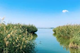 宁夏沙湖旅游精品线路 亲子游路线