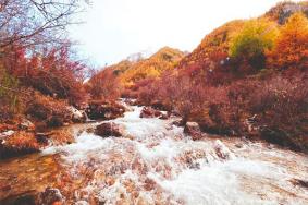 秋季适合自驾游的小众景点有哪些