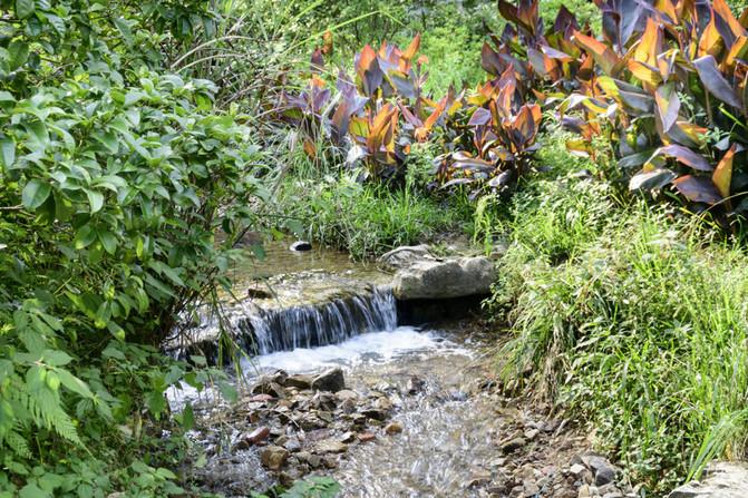 黔靈山公園游玩攻略 黔靈山公園旅游攻略