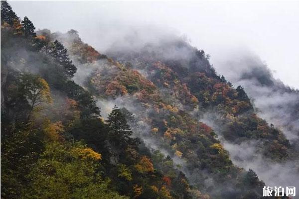 成都周边彩林景区推荐