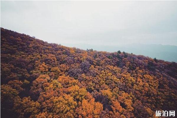 西安秋季旅游好去处推荐