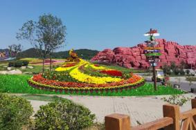 2019青岛西海岸生态观光园金秋菊展时间+地点+票价+活动信息