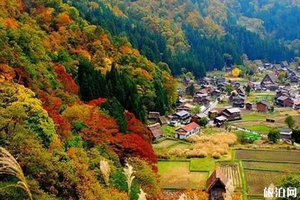 日本看红叶的小众旅游景点推荐