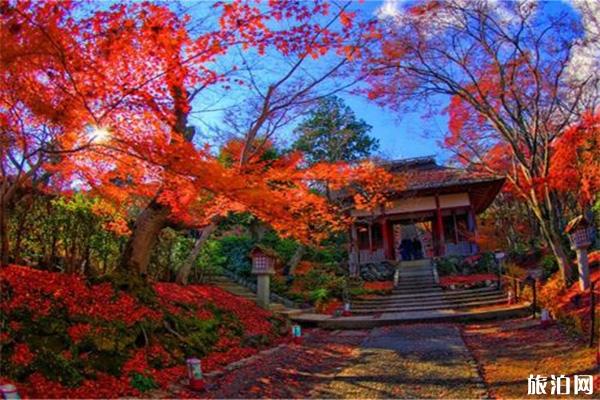 日本京都岚山小火车运行时间 门票+交通指南