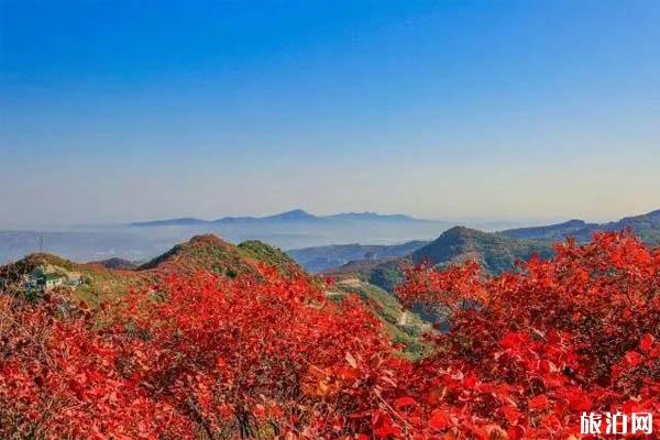 巩义长寿山秋天好玩吗 巩义长寿山旅游攻略