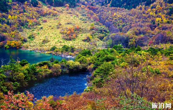 九寨沟散客现在能去吗 2019九寨沟开放哪些景点