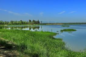 野鸭湖湿地公园好玩吗 北京野鸭湖湿地公园游玩攻略