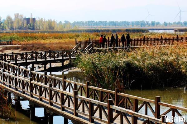 野鴨湖濕地公園好玩嗎 北京野鴨湖濕地公園游玩攻略