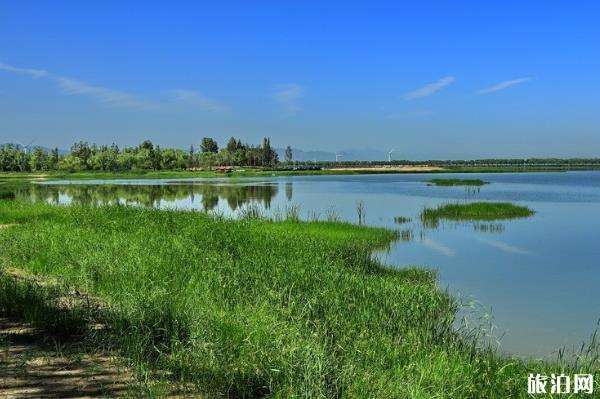 野鴨湖濕地公園好玩嗎 北京野鴨湖濕地公園游玩攻略