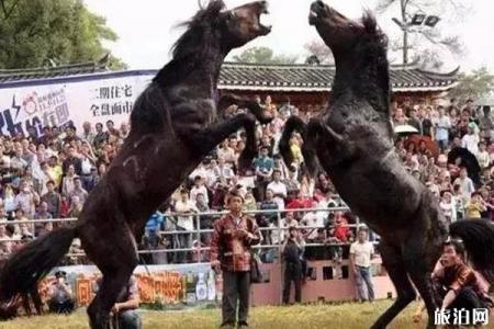 2019柳州国庆活动安排整合