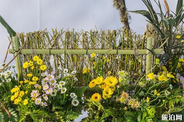 湖熟菊花園要門票嗎 可以帶寵物進去嗎+2019年菊花展信息