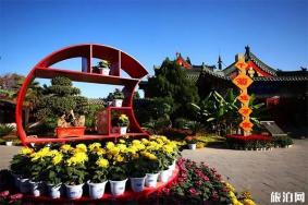 开封天波杨府菊花怎么领取