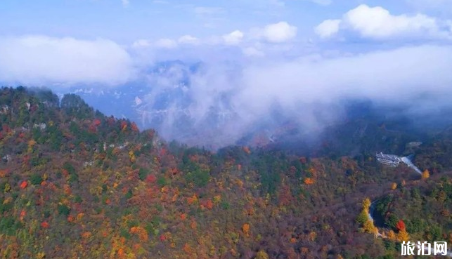 神农架交通方便吗 神农架旅游攻略