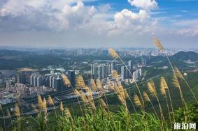 深圳塘朗山环山公路可以开车进去吗 登山口在哪里