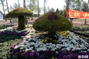 2019年齐齐哈尔梅里斯湖菊花节时间+地址+活动介绍