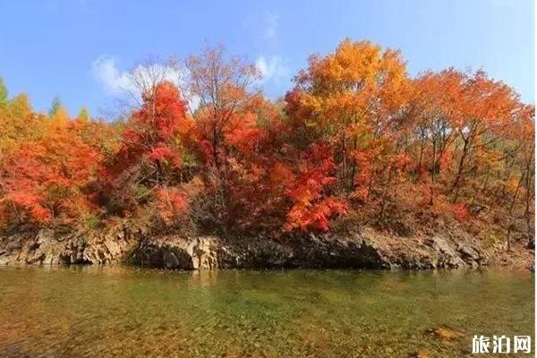 丹東楓葉什么時候變紅+哪里最好