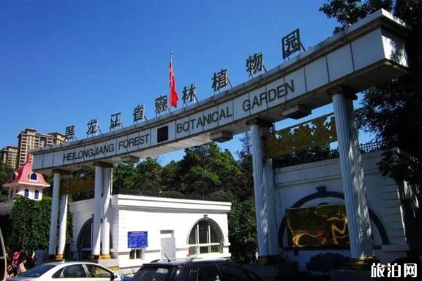 2019年10月3日到20日黑龙江省森林植物园免费开放+游玩信息