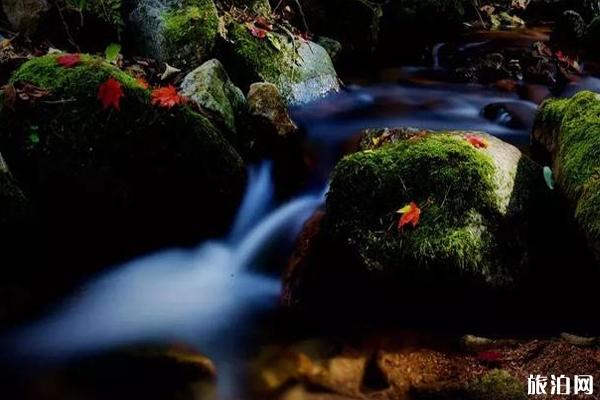 重阳节凶林登山好往背保举