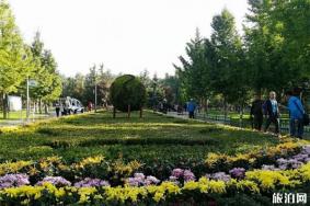 兰州植物园菊花展9 月 29 日开启 附菊花展内容