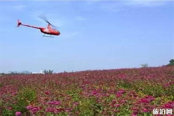 衡陽夫之河畔生態文化園門票 附夫之河畔生態文化園2019菊花展信息