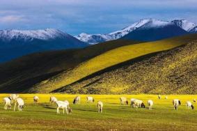 去西北旅游需要带什么东西