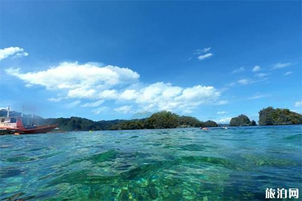 菲律宾PG海豚湾水肺潜水攻略 机票+路程+注意事项