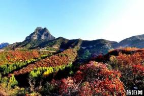 2019荆紫仙山门票免费时间 秋天荆紫仙山景区好玩吗