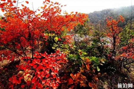 2019荆紫仙山门票免费时间 秋天荆紫仙山景区好玩吗