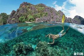 菲律宾潜水地点有哪些 哪些潜点比较好