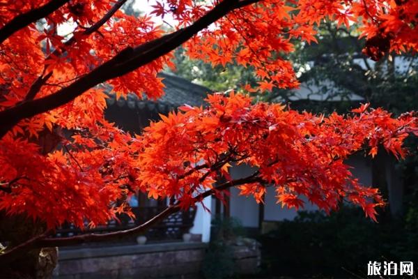 天津吃螃蟹去哪+天气预报