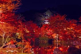 2019日本京都赏枫叶景点推荐+最佳时间