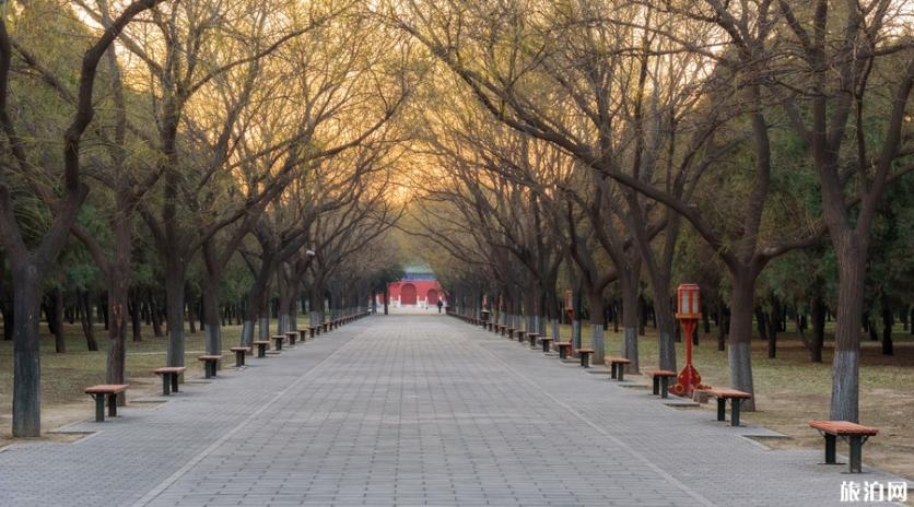 北京天坛最佳游览路线