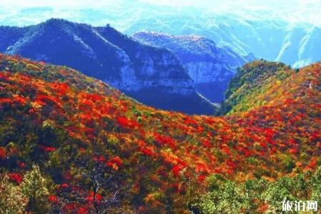 青天河红叶节时间2019+门票+优惠政策+活动介绍