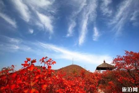 青天河红叶节时间2019+门票+优惠政策+活动介绍