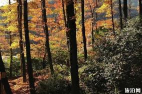 五云山爬山路线 五云山在哪里+交通